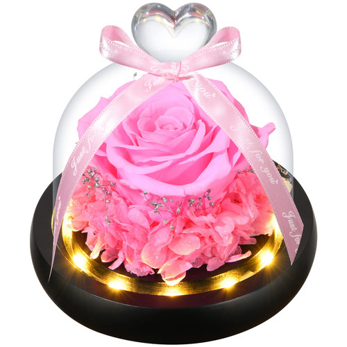 DEARCCINO Preserved Pink Rose Birthday Gifts for Women|Preserved Flower in Glass Dome|Forever Rose Gift for Mother's Day for Wife|Girlfriend|Light Up Rose Gift for Her (Pink) DEARCCINO Preserved Pink Rose Birthday Gifts for Women|Preserved Flower in Glass Dome|Forever Rose Gift for Mother's Day for Wife|Girlfriend|Light Up Rose Gift for Her (Pink)