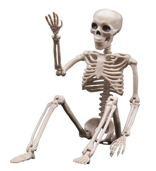 Halloween Skeletons Decorations Outdoor Indoor, 16" Posable Plastic Skeleton, Full Body Skeleton with Movable Joints, Realistic Spooky Scary Skeletons for Halloween Party Haunted House Graveyard Props Decor