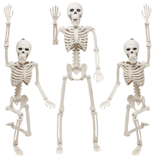 Skeleton Halloween Decoration, 3 Packs 16" Posable Halloween Skeletons, Full Body Posable Joints Skeletons for Halloween Decor, Graveyard Decorations, Haunted House Accessories, Halloween Decorations Indoor