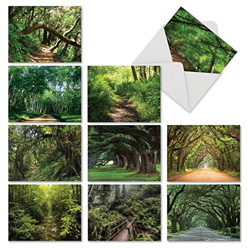 10 Nature Landscape Note Cards with Envelopes Small 4 x 5.12 Inch - Beautiful Assortment Blank Cards 'Nature Trails' - Peaceful Scenery, Tree Hiking Paths - All Occasion Greeting Notecards M6467OCBsl