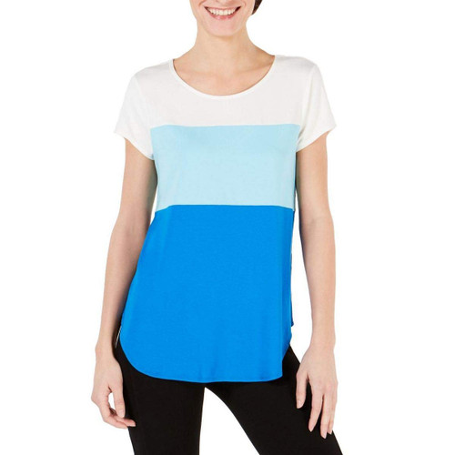 Alfani Womens Colorblock Basic T-Shirt, Blue, Large