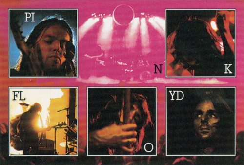 Studio B Posters Pink Floyd - Live Collage