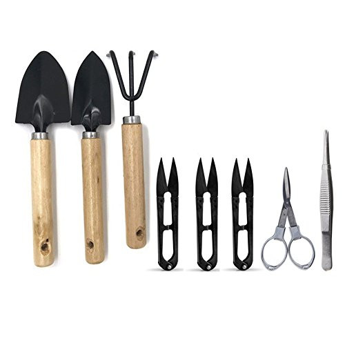 DALAO 8 Pcs/Set Bonsai Kit Garden Tools Set with Pruner,Fold Scissors,Mini Rake,Bud, Leaf Trimmer Set for Mini Garden Hand Tools (Color 1)