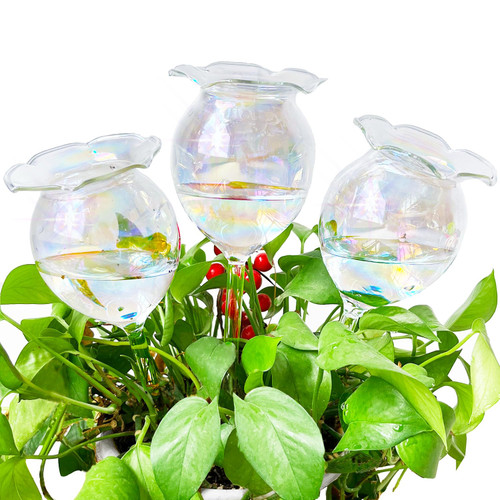 Haawooky Self Watering Globes,Iridescent Gradient Color Clear Glass Plant Water Bulbs,Hand Blown Automatic Plant Waterer Device for Indoor Outdoor Plants,3 Pack Haawooky Self Watering Globes,Iridescent Gradient Color Clear Glass Plant Water Bulbs,Hand Blown Automatic Plant Waterer Device for Indoor Outdoor Plants,3 Pack