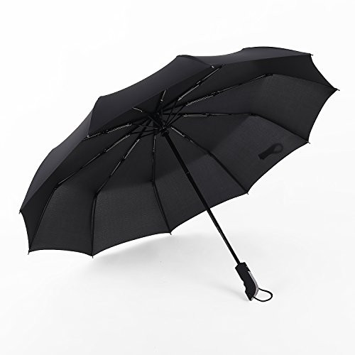 VANRAY Travel Umbrella Windproof 10 Ribs Folding Umbrella Automatic Open and Close Large Compact Umbrella, Black