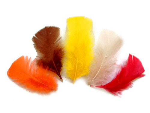 1/4 Lb - Fall Mix Turkey T-Base Plumage Wholesale Feathers (Bulk) Halloween, Wedding, Fly Tying Craft Supply | Moonlight Feather