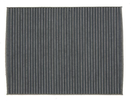 FilterMaster Activated Carbon Cabin Filter for Chrysler Voyager, Town & Country And Pacifica; Dodge (Grand) Caravan