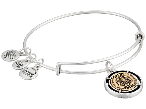 Alex and Ani Women's Carpe Diem Bangle Two Tone Bracelet, Rafaelian Silver, Expandable