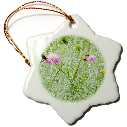 3dRose orn_113068_1 Butterflies Pink Flowers Green Field Nature Photography Floral Flower Summer Spring-Snowflake Ornament, 3-Inch, Porcelain