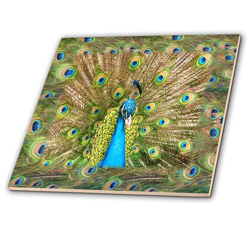 3dRose ct_41699_4 Peacock Head N Peacock Feathers Ceramic Tile, 12"
