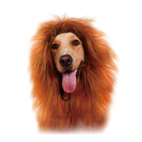 GABOSS Lion Mane Costume for Dog, Dog Lion Wig for Dog Large Pet Festival Party Fancy Hair Dog Clothes GABOSS Lion Mane Costume for Dog, Dog Lion Wig for Dog Large Pet Festival Party Fancy Hair Dog Clothes