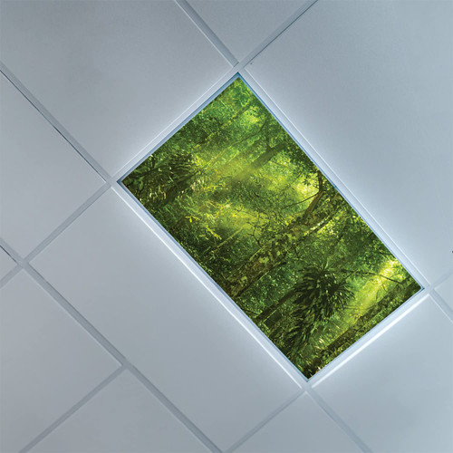 Fluorescent Light Covers for Ceiling Light Diffuser Panels-Rainforest Pattern-Light Filters Ceiling LED Ceiling Light Covers-2ft x 4ft Drop Ceiling Fluorescent Decorative,Green