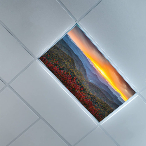 Lorougei Fluorescent Light Covers for Ceiling Light Diffuser Panels-Appalachian Pattern-Light Filters Ceiling LED Ceiling Light Covers-2ft x 4ft Drop Ceiling Fluorescent Decorative,Multicolor