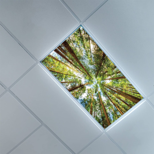 Lorougei Fluorescent Light Covers for Ceiling Light Diffuser Panels-Forest Sky Pattern-Fluorescent Light Covers for Classroom Office-Office & Classroom Decorations,Pale Brown Green