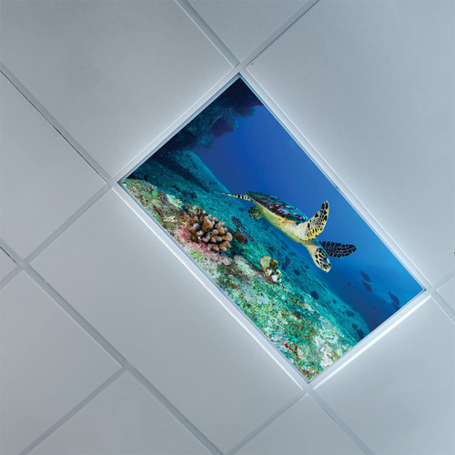 Lorougei Fluorescent Light Covers for Ceiling Light Diffuser Panels-Sea Turtle Pattern-Light Filters Ceiling LED Ceiling Light Covers-2ft x 4ft Drop Ceiling Fluorescent Decorative,Multicolor