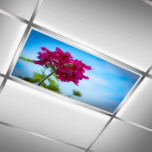 Pink Flower,red Blue,Light Diffusers,Fluorescent Light Covers-for Ceiling Light Diffuser Panels-Easy to Install-Improves Room Aesthetics,4x2 ft