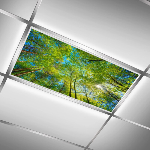 Sunshine Trees,Green Blue,Fluorescent Light Covers,Light Diffuser to Protect Against Blue Light and Glare-Decorative Lighting,4x2 ft