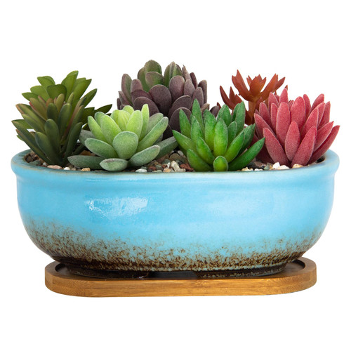 Succulent Pots, 7.9 Inch Long Rectangular Succulent Planters with Drainage Tray, Shallow Planters for Indoor Plants Ceramic Cactus Pots Glazed Bonsai Flower Plant Container for Home Windowsill Decor