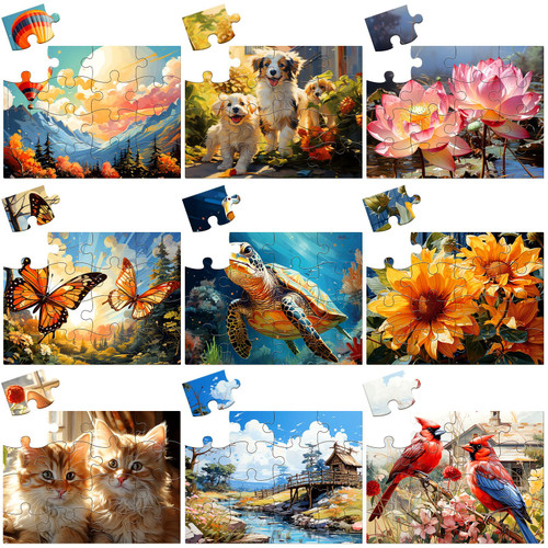 Libima 9 Pack Large Piece Jigsaw Puzzles for Seniors, 16 Piece Wooden Easy Puzzle Alzheimer Dementia Products for Elderly Adults Gift Toys Games, 9 Styles Libima 9 Pack Large Piece Jigsaw Puzzles for Seniors, 16 Piece Wooden Easy Puzzle Alzheimer Dementia Products for Elderly Adults Gift Toys Games, 9 Styles