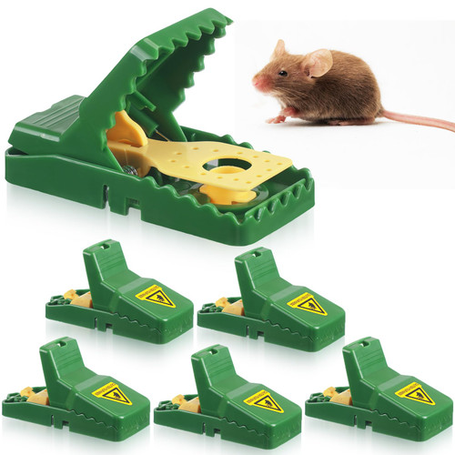 Qualirey 6 Pcs Green Mouse Traps with Yellow Detachable Bait Cup, Small Mice Traps That Work for Home Quick Effective Mouse Catcher Sanitary Safe Humane Mouse Traps for House Garage Indoor Outside