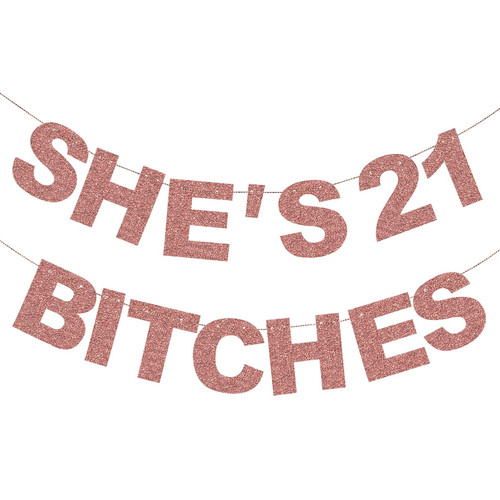 Rose Gold 21st Birthday Decorations for Her - 21 Birthday Photo Backdrop Sign, Funny Happy 21st Birthday Banner, 21st Birthday Party Supplies - 21st Birthday Decorations for Girls Women