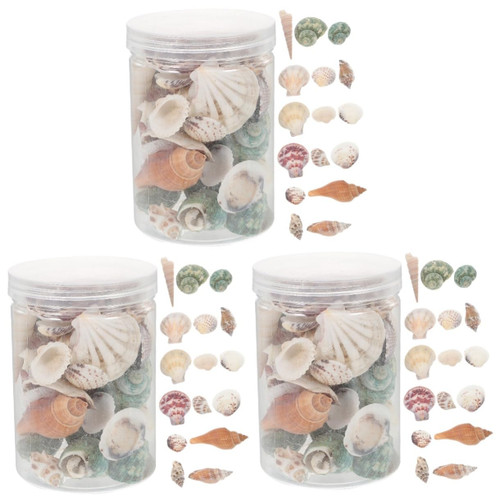 Garneck 3 Boxes Natural Shell Conch Fish Tank Accessories kit kats in Bulk Seashells Desk Topper Aquarium Shell Couch Decor Fish Tank Conchs Charm Crafts Shell Beads Material Suite