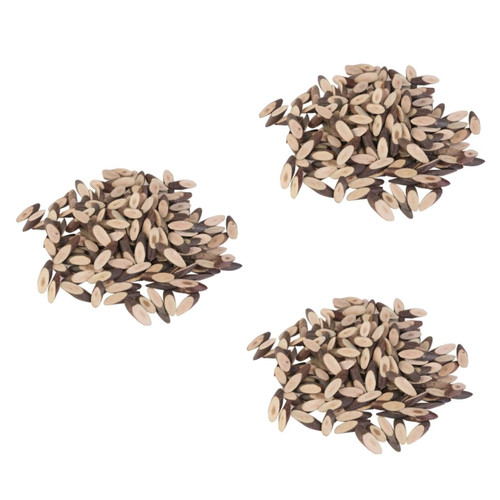 EXCEART 300 pcs Wood Slices for Crafts Mini Wooden chip Wood Discs Slices Oval Wood Cutouts DIY Gift Tags Log Slices Wood Tree Slices Wooden Discs for Crafts Manual Wood Chips Wooden Plate