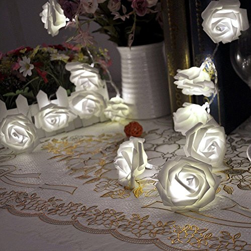 HOMREE String Lights , 20 LED/2M Battery Operated Rose Flower String Fairy Lights for Christmas , Valentine's, Wedding,Party,Indoor Decoration (White)