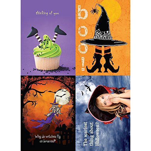 Tree-Free Greetings Withes Halloween Card Assortment, 5 x 7 Inches, 8 Cards and Envelopes per Set (GA31683)