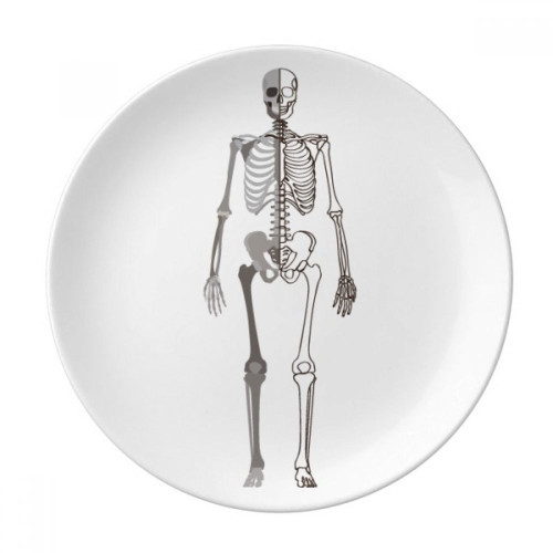 Human Skeleton Sketch Front Plate Decorative Porcelain Salver Tableware Dinner Dish