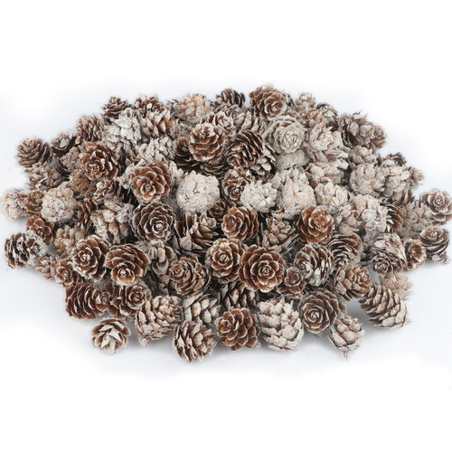 200PCS Mini Snow Pine Cones Christmas Natural Pinecones with White Paint Pine Cones in Bulk for Home Party Crafts Gift Wedding Christmas Tree Winter Decoration 200PCS Mini Snow Pine Cones Christmas Natural Pinecones with White Paint Pine Cones in Bulk for Home Party Crafts Gift Wedding Christmas Tree Winter Decoration