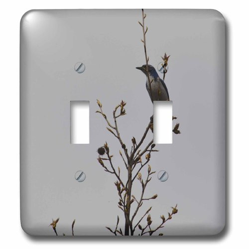 3dRose lsp_192739_2 Blue Bird in A Tree Double Toggle Switch