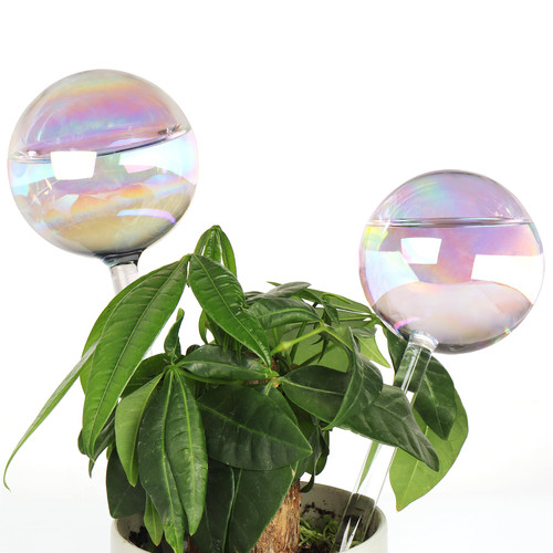 DaceStar Plant Watering Bulbs, Self Watering Globes for Outdoor Indoor Plants, Iridescent Plant Watering Globes, Glass Automatic Plant Waterer, Plant Self Watering Devices(2PCS) DaceStar Plant Watering Bulbs, Self Watering Globes for Outdoor Indoor Plants, Iridescent Plant Watering Globes, Glass Automatic Plant Waterer, Plant Self Watering Devices(2PCS)