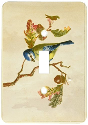 3dRose lsp_174660_1 Image of Tri Color Bird on Branch Painting Light Switch Cover