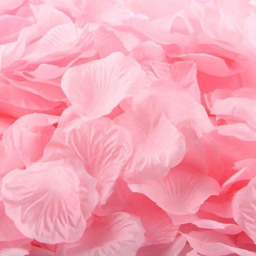 Aldeepo 1000 Pcs Pink Rose Petals, Artificial Flower Petals Silk Rose Petals for Wedding, Romantic Valentines Day Decor for Bedroom,Weddings,Romantic Night,Party, Table, Dining Room Aldeepo 1000 Pcs Pink Rose Petals, Artificial Flower Petals Silk Rose Petals for Wedding, Romantic Valentines Day Decor for Bedroom,Weddings,Romantic Night,Party, Table, Dining Room