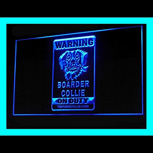 210216 Warning Boarder Collie on duty Massive Giant Display LED Light Neon Sign