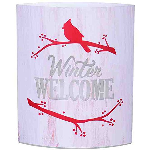 Carson Winter Welcome Decorative LED Light Paper Lantern