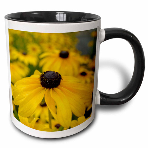 3dRose Black Eyed Susan Garden of Flowers- Floral Photography - Mugs (mug_36167_4) 3dRose Black Eyed Susan Garden of Flowers- Floral Photography - Mugs (mug_36167_4)