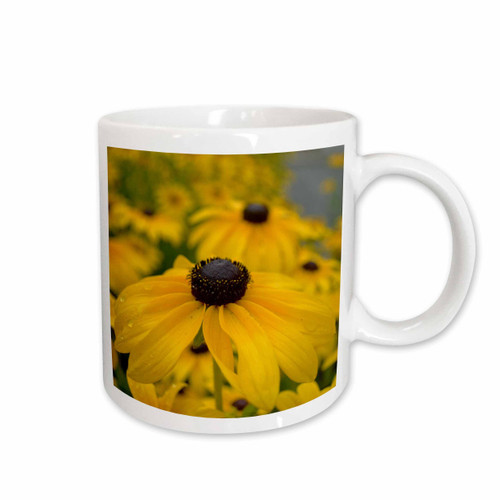 3dRose Black Eyed Susan Garden of Flowers- Floral Photography - Mugs (mug_36167_2) 3dRose Black Eyed Susan Garden of Flowers- Floral Photography - Mugs (mug_36167_2)
