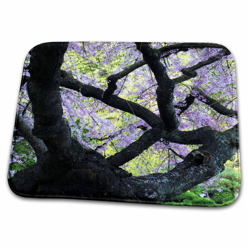 3dRose Cherry Tree, Japanese Garden, Portland, Oregon, USA... - Bathroom Bath Rug Mats (rug-145946-1)
