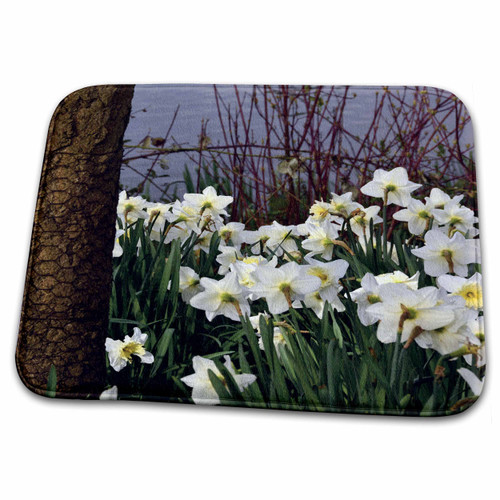 3dRose Daffodils, Crystal Springs Rhododendron Garden,... - Bathroom Bath Rug Mats (rug-207333-1)