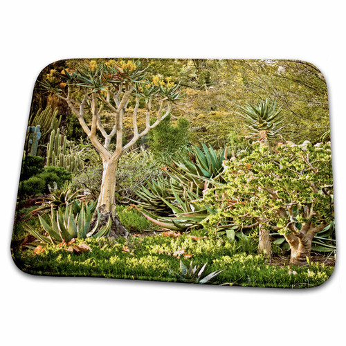 3dRose Boehm Photography Garden - Desert Garden - Bathroom Bath Rug Mats (rug-63019-1) 3dRose Boehm Photography Garden - Desert Garden - Bathroom Bath Rug Mats (rug-63019-1)