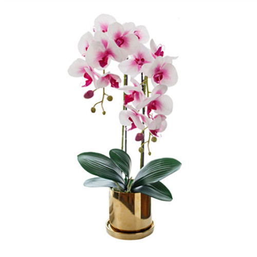 jinyi2016SHOP Artificial Potted Plants Artificial Plant in Pot? Artificial Plants Indoor Small Fake Plants Potted for Home Tabletop Office Kitchen Indoor Outdoor Decor Faux Plants Decor jinyi2016SHOP Artificial Potted Plants Artificial Plant in Pot? Artificial Plants Indoor Small Fake Plants Potted for Home Tabletop Office Kitchen Indoor Outdoor Decor Faux Plants Decor