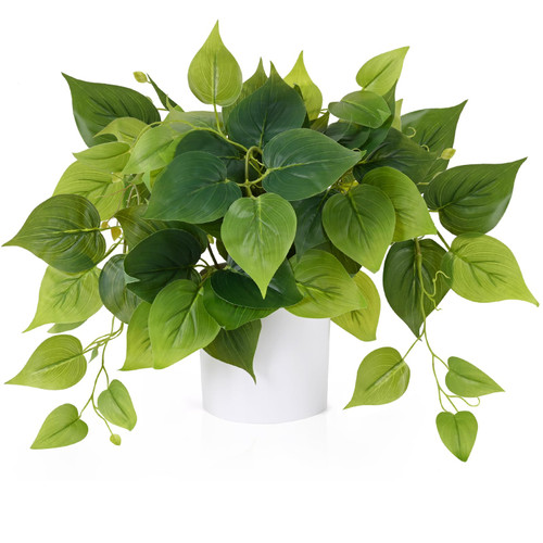 Waipfaru Faux Plants Indoor with Plastic Pots, Realistic Small Fake Plants, Fake Plants with Pothos, Fake Potted Plants, Artificial Plant for Home Shelf Bathroom Kitchen Office Indoor Outdoor Decor Waipfaru Faux Plants Indoor with Plastic Pots, Realistic Small Fake Plants, Fake Plants with Pothos, Fake Potted Plants, Artificial Plant for Home Shelf Bathroom Kitchen Office Indoor Outdoor Decor