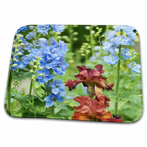 3dRose Flower Garden, Bearded Iris, Salem, Oregon - US38 DGU0087 -... - Dish Drying Mats (ddm-93762-1)