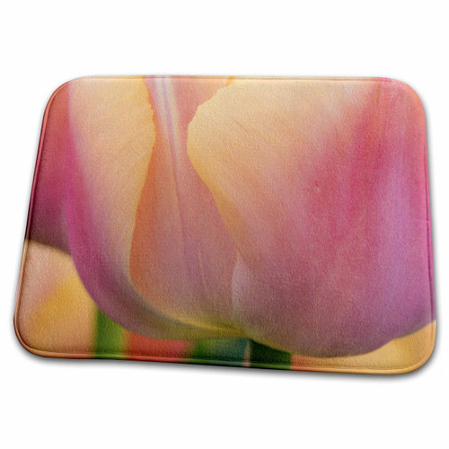 3dRose Garden - Keukenhof Gardens. Tulip. - Dish Drying Mats (ddm-209421-1)