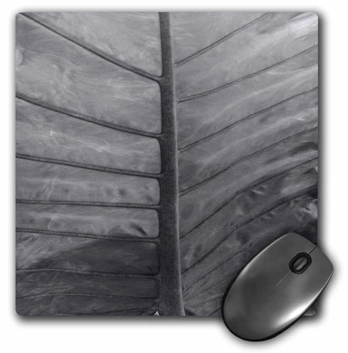 3dRose Image of Macro Banana Plant in Black and White - Mouse Pads (mp_355873_1)
