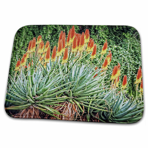 3dRose Boehm Photography Garden - Magnificent Desert Garden - Bathroom Bath Rug Mats (rug-127538-1) 3dRose Boehm Photography Garden - Magnificent Desert Garden - Bathroom Bath Rug Mats (rug-127538-1)
