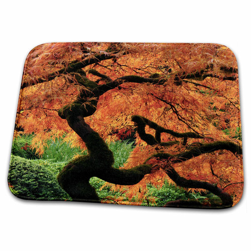3dRose Maple, Japanese Garden, Portland, Oregon, USA - US38... - Bathroom Bath Rug Mats (rug-145962-1)