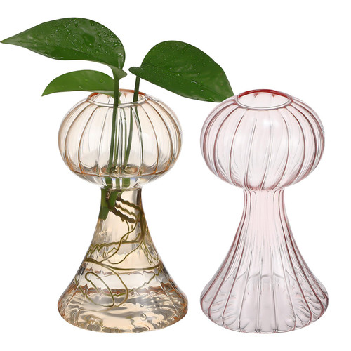 NOLITOY Hydroponic Flower Vase, 2Pcs Decorative Pumpkin Vase, Small Cute Glass Vases for Flowers, Clear Glass Planters Vintage Glass Pot Vase for Wedding Garden Home Decor NOLITOY Hydroponic Flower Vase, 2Pcs Decorative Pumpkin Vase, Small Cute Glass Vases for Flowers, Clear Glass Planters Vintage Glass Pot Vase for Wedding Garden Home Decor